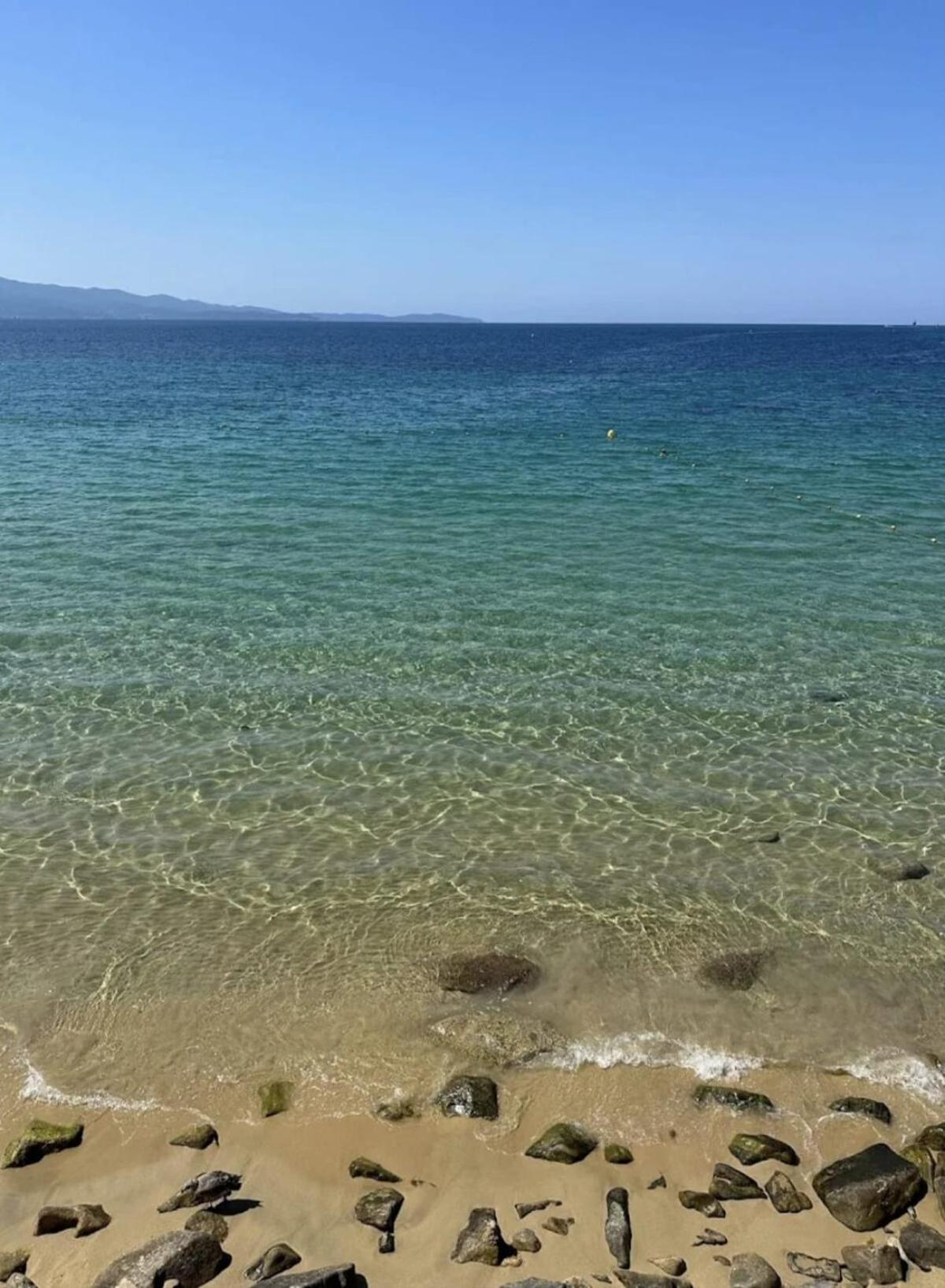F3-50m From Trottel - Wifi - Air Conditioning Appartement